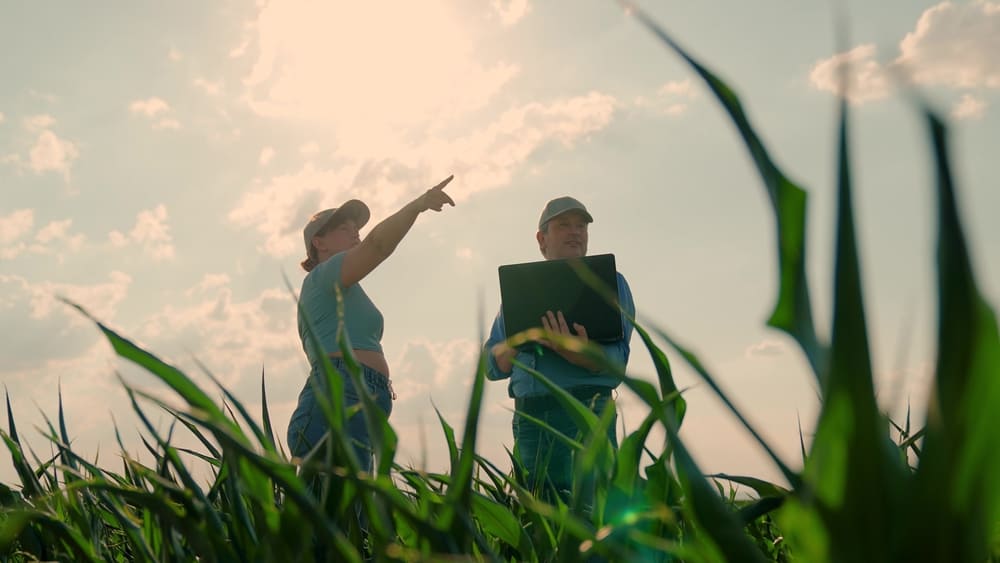 Empresa de traduções para o setor do agronegócio